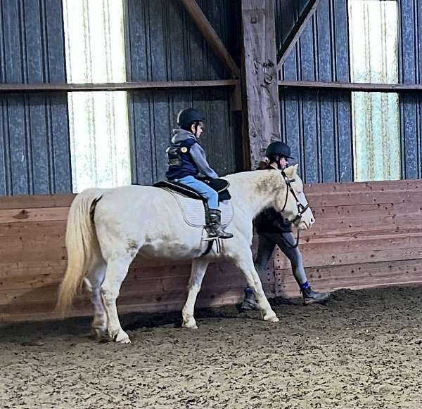 pony