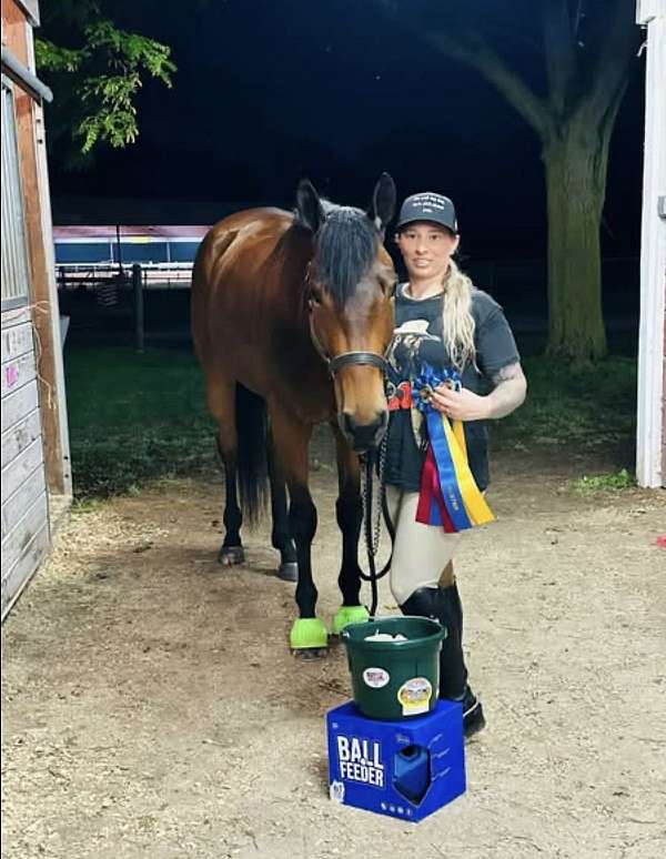 quarter-horse-for-sale