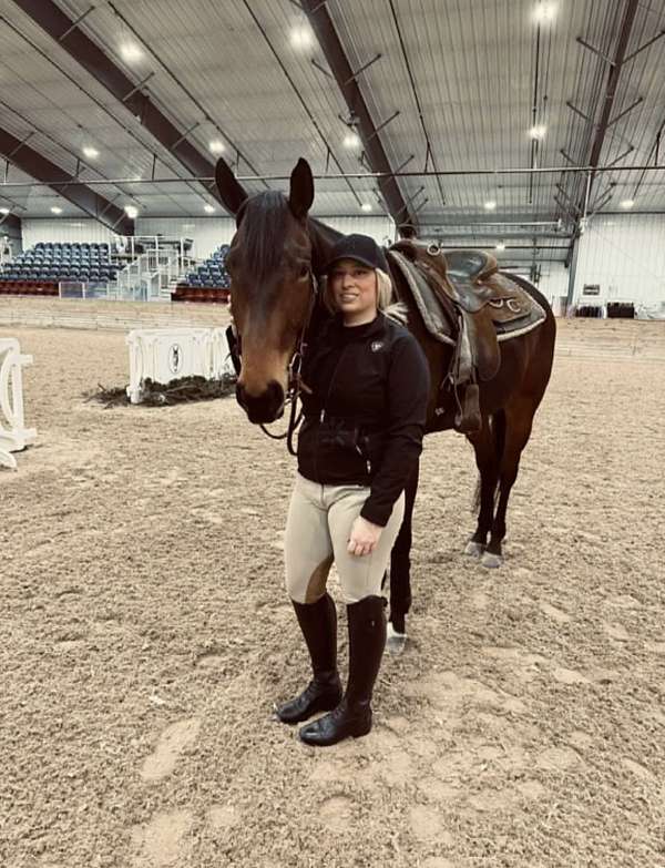 quarter-horse