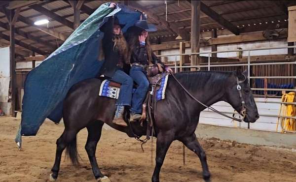athletic-quarter-horse