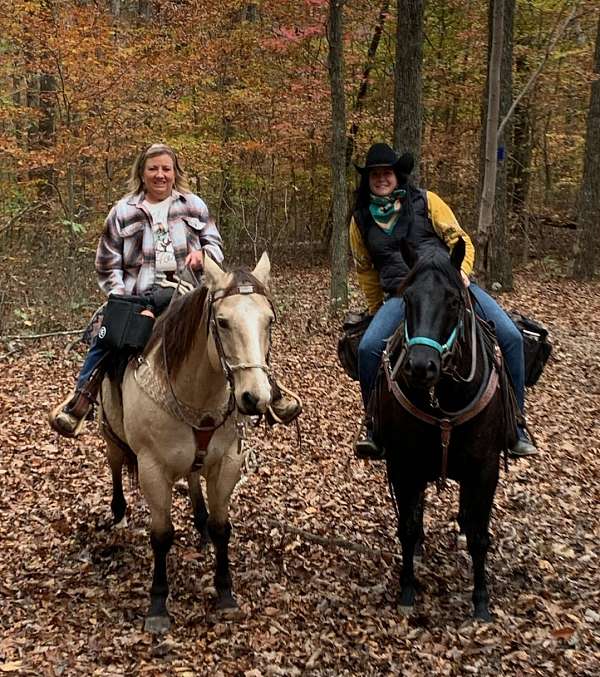 ranch-work-quarter-horse