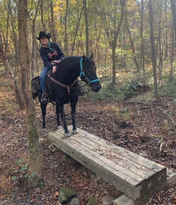 ridden-western-quarter-horse
