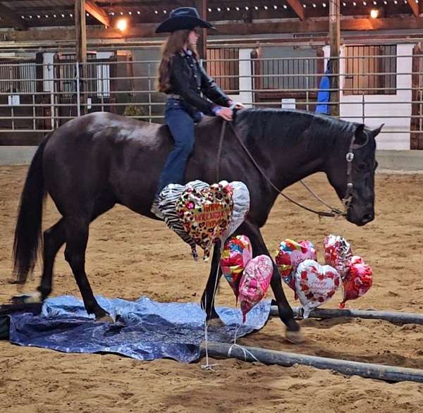 trail-riding-quarter-horse