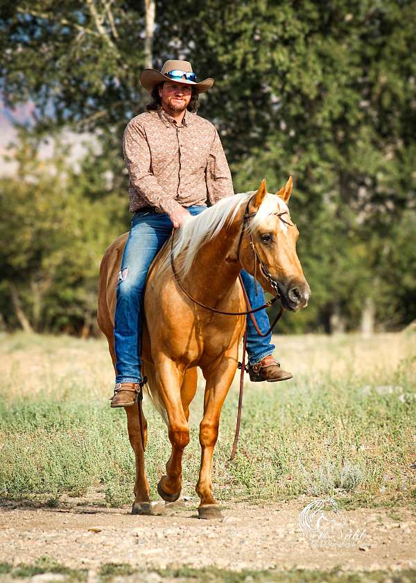 ranch-versatility-quarter-horse