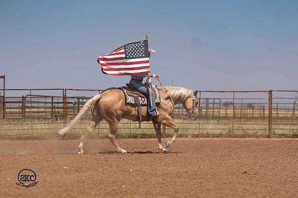 performance-quarter-horse