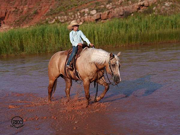 ranch-quarter-horse