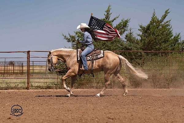 ranch-work-quarter-horse