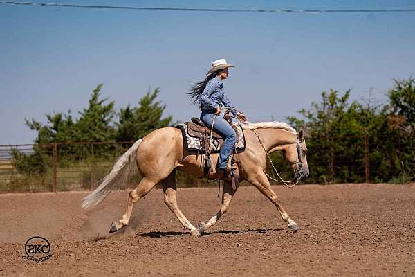 ridden-western-quarter-horse