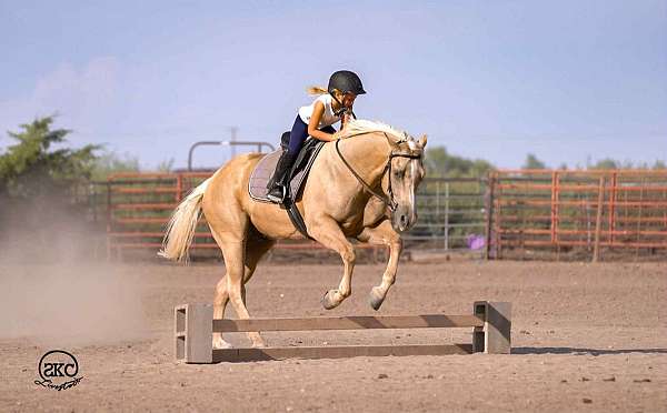 roping-quarter-horse