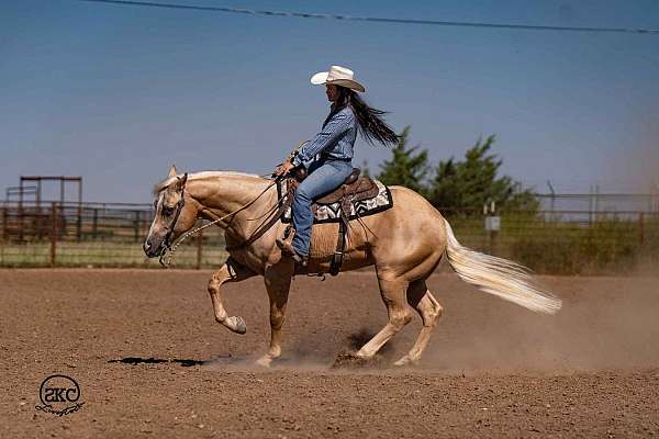 trail-riding-quarter-horse