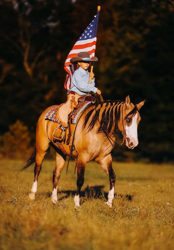 flashy-quarter-horse