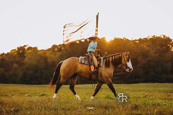 ranch-quarter-horse