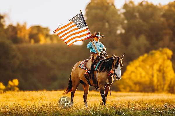 ranch-versatility-quarter-horse