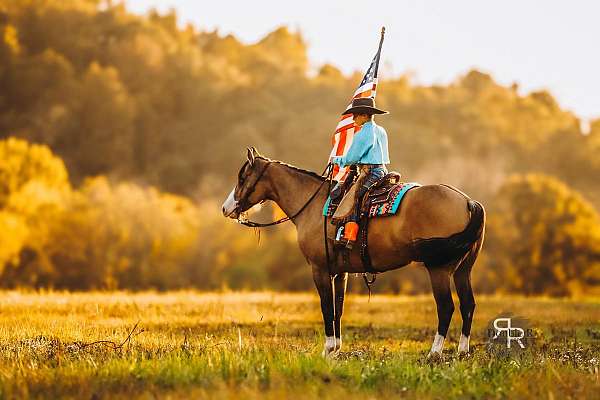 ranch-work-quarter-horse