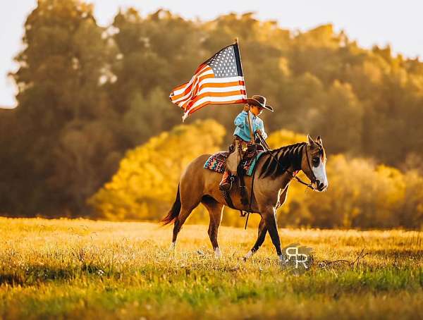 ridden-english-quarter-horse