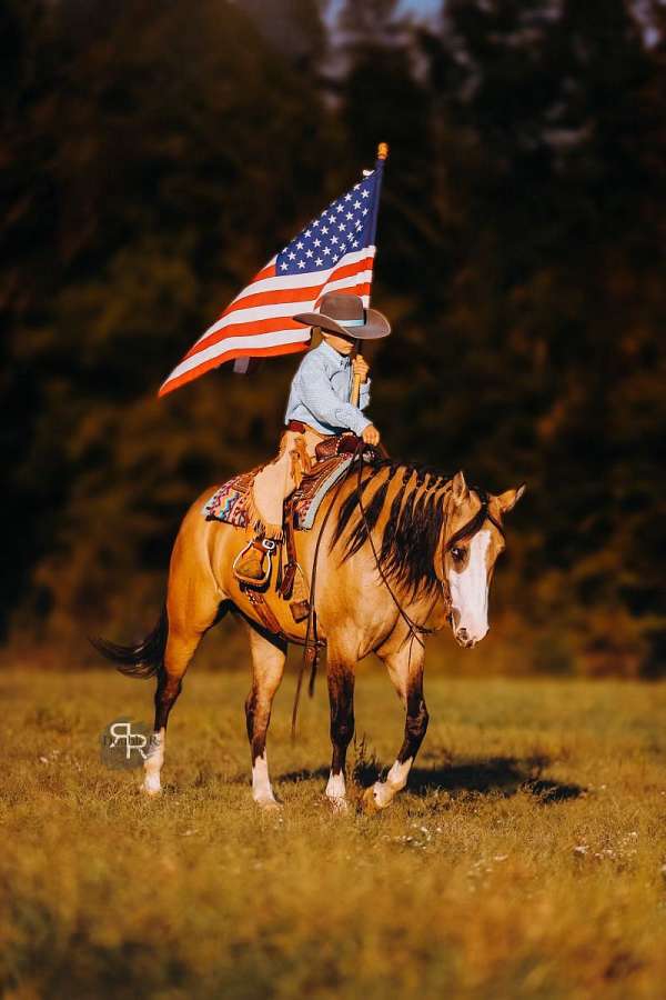 ridden-western-quarter-horse