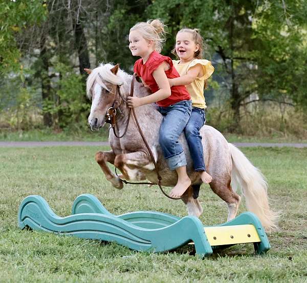 athletic-pony