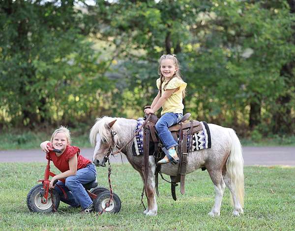 kid-safe-pony