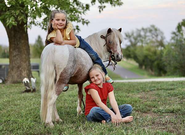 youth-pony
