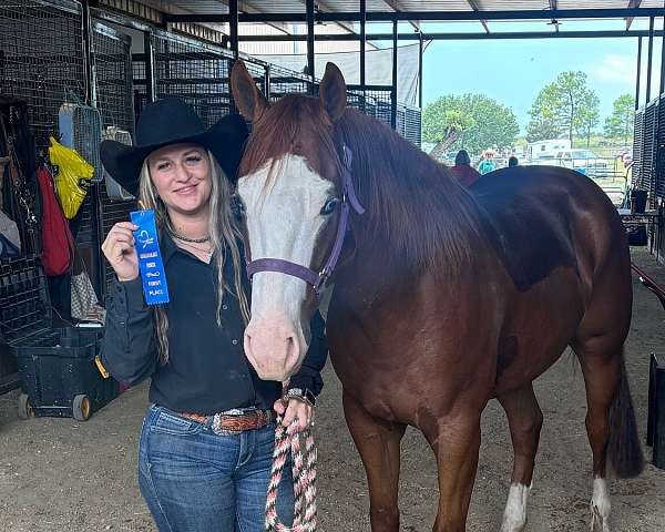 performance-quarter-horse
