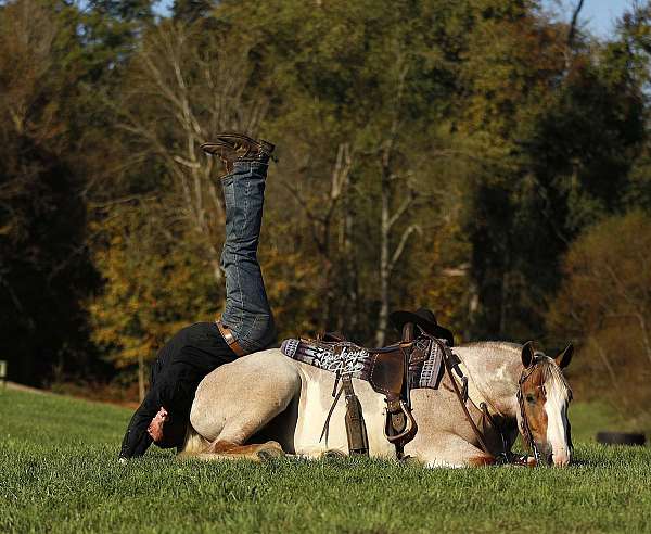 finished-draft-horse