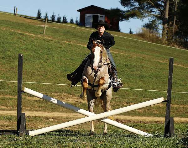 flashy-draft-horse