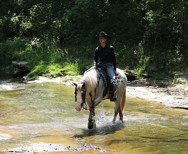 jumping-draft-horse