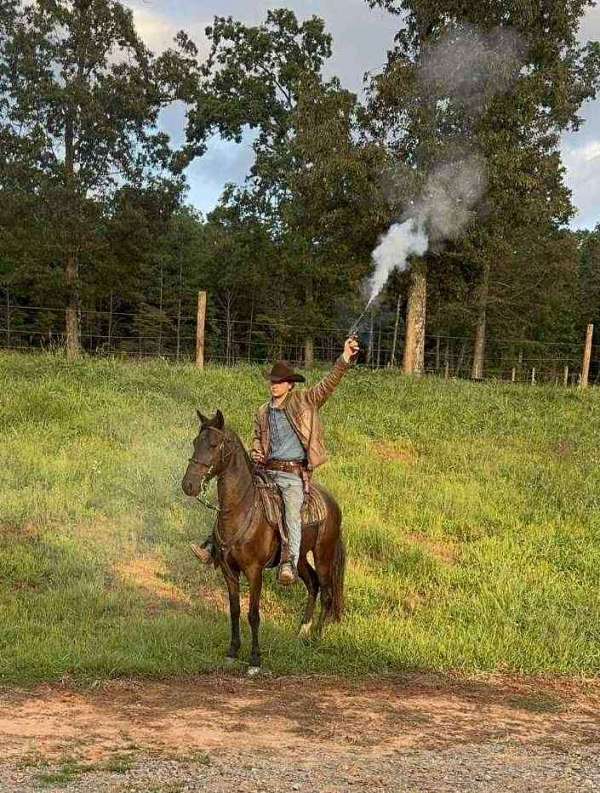 black-all-around-trail-riding-horse