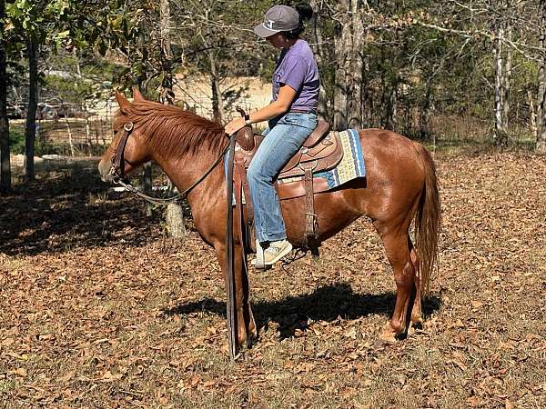 calf-roping-quarter-pony