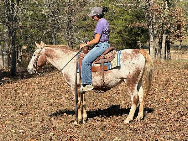 beginner-quarter-pony