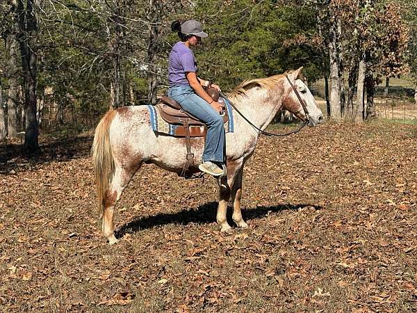 husband-safe-quarter-pony