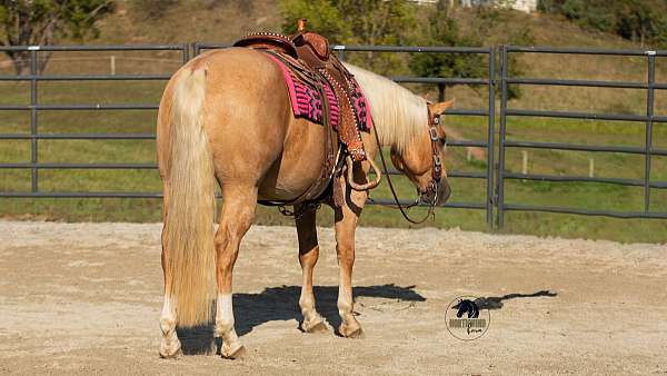 palomino-ranch-horse
