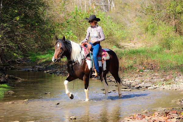 tobiano-wester-horse