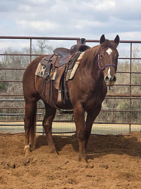 lounge-paint-horse