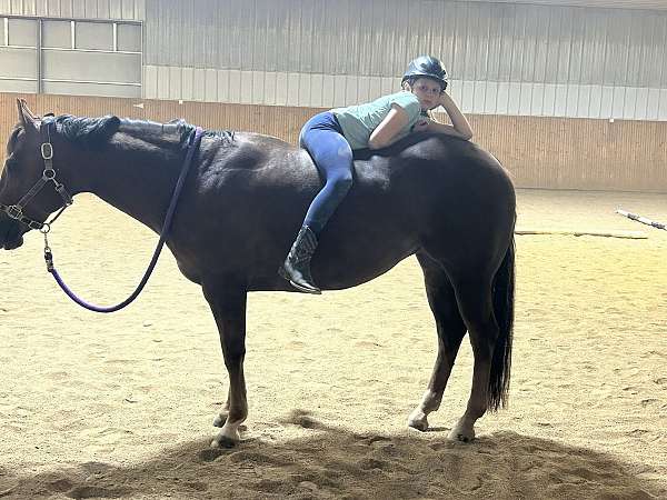 beginner-quarter-horse