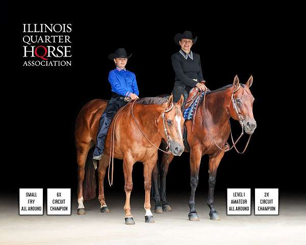 horsemanship-quarter-horse