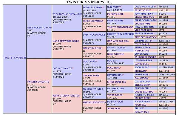bay-steer-wrestli-horse