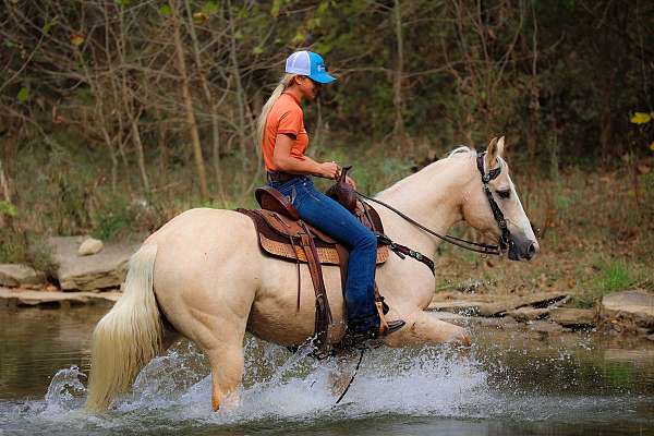 athletic-quarter-horse
