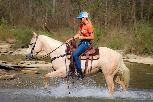beginner-quarter-horse