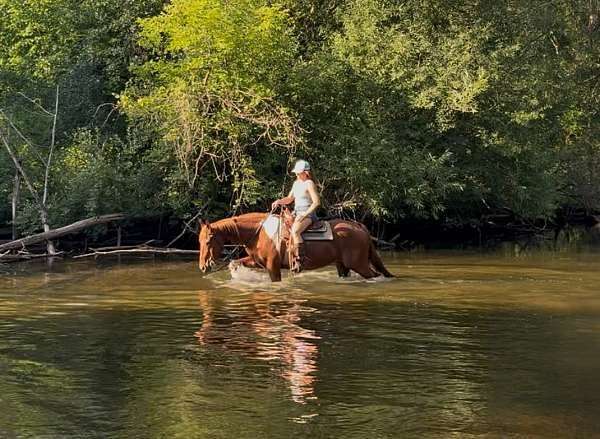 athletic-paint-horse