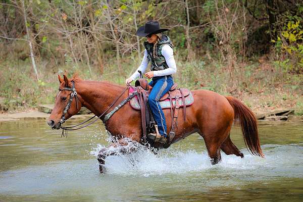 drill-team-quarter-horse