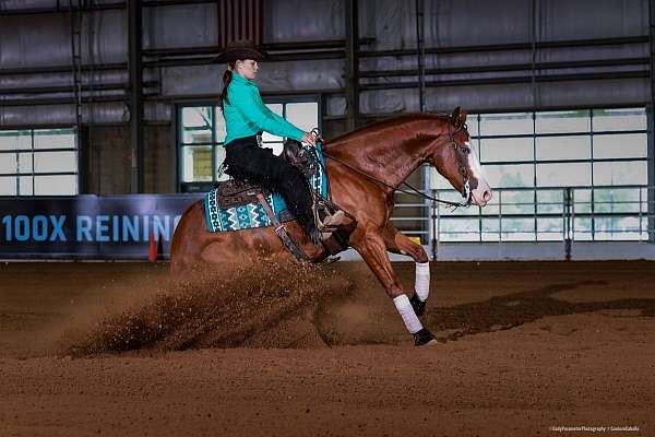 ranch-work-quarter-horse