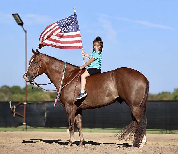 ranch-quarter-horse