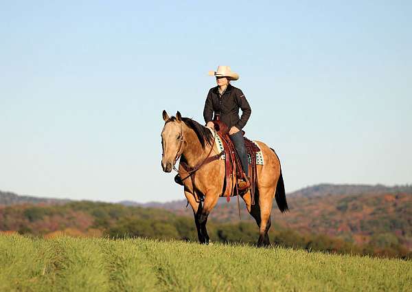 ranch-versatility-quarter-horse