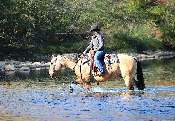 ranch-work-quarter-horse
