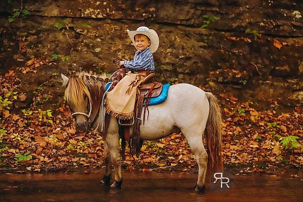 athletic-miniature-pony