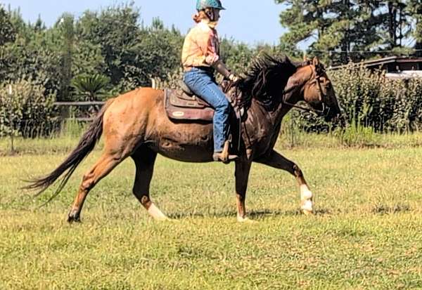 lf-sock-horse