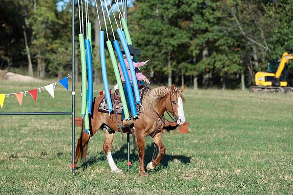 ranch-draft-horse