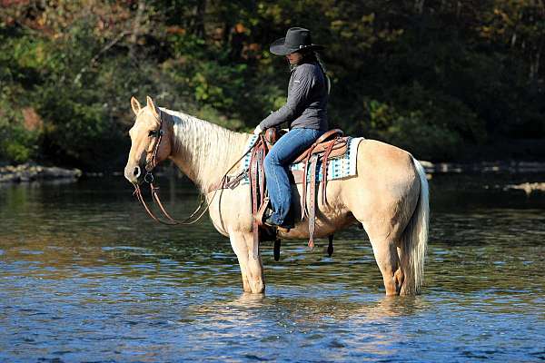 barrel-racing-quarter-horse