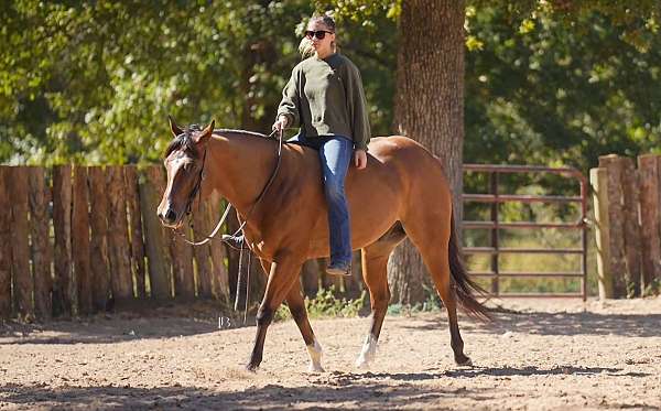 athletic-quarter-horse